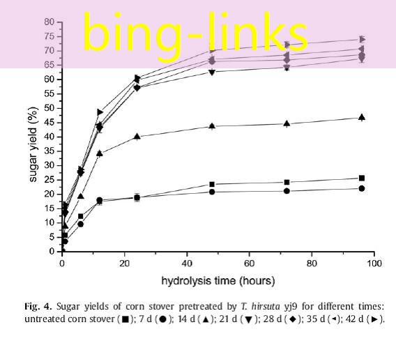 bing-links